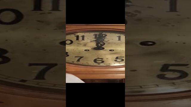 VID-20211112-WA0000.mp4