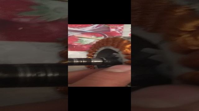 VID_20241220_004940.mp4