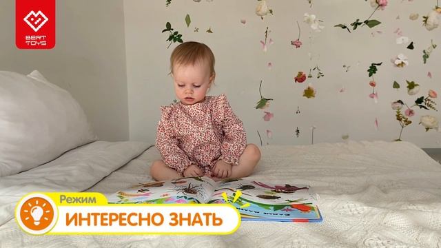 Большая говорящая книга Нажималка | BertToys | Развивающие игрушки