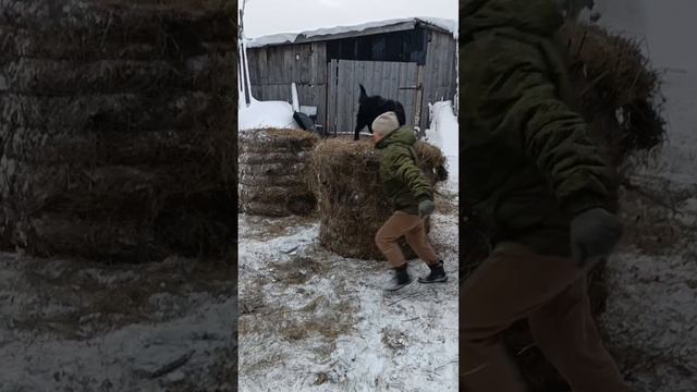 талант артиста.mp4