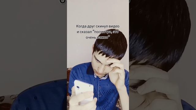 Действительно, очень важная информация #приколы #помидор #чяч