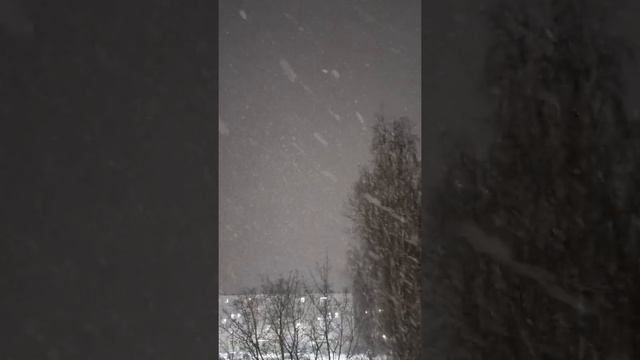 16 декабря 2021 г.