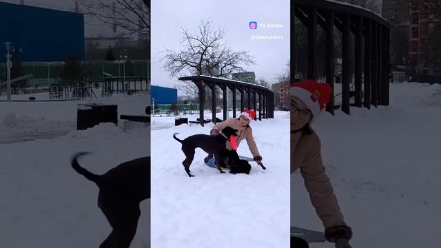Спортивный Метис Нэтта - вольт от спины, из руки и выброс