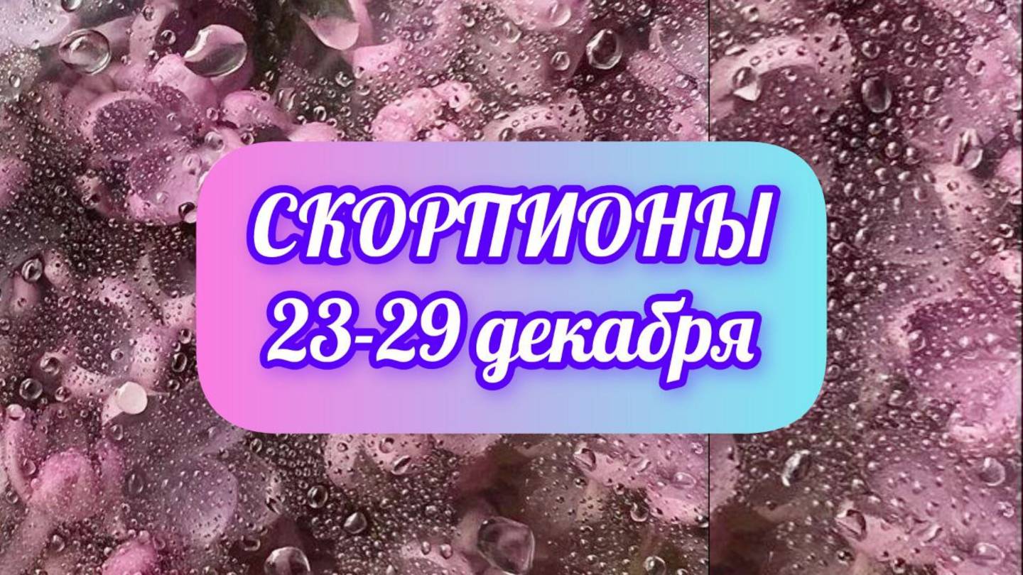 СКОРПИОНЫ. Неделя 23 - 29 декабря.