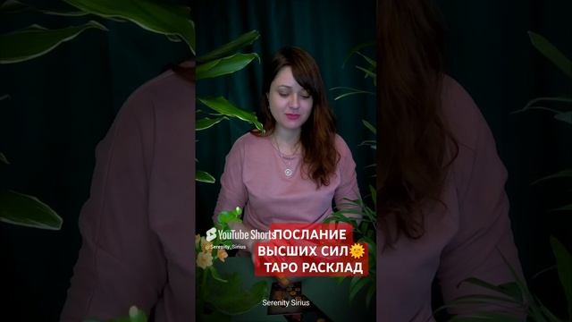 ПОСЛАНИЕ ВЫСШИХ СИЛ🌞 ТАРО РАСКЛАД