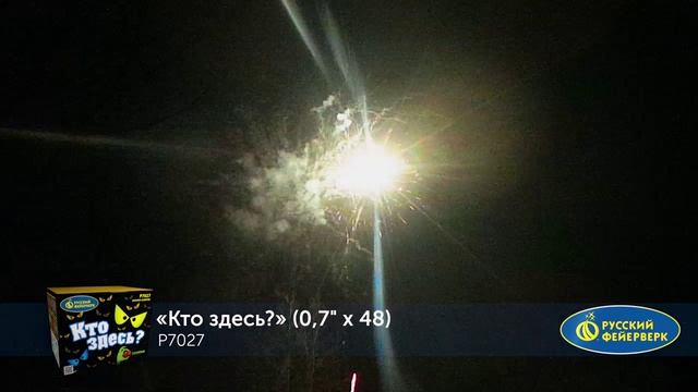 БС Кто здесь? Р7027