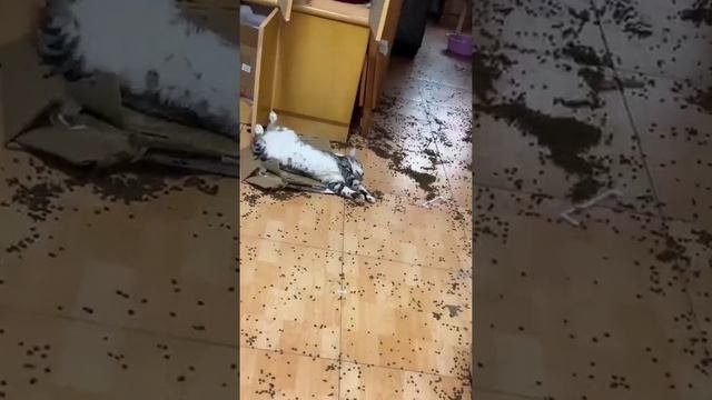 сил не осталось, чтобы убежать ;)