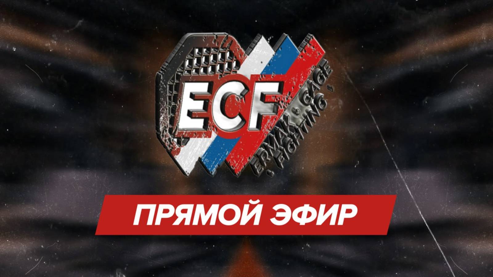 ПРЯМАЯ ТРАНСЛЯЦИЯ ТУРНИРА ЕРМАК 4 |ECF MMA|