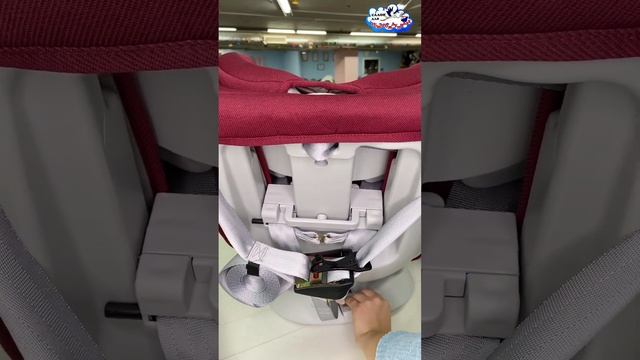 Обзор автокресла Rant Nitro Isofix