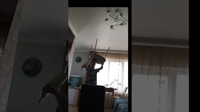scene_output.mp4
