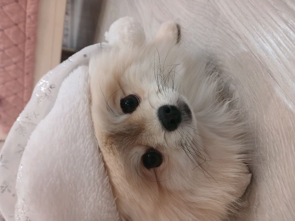 мне скучно(