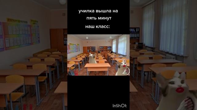мемы с PopCat-ами