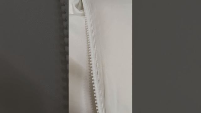 scene_output.mp4