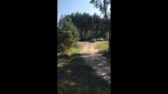 Сходка Mercedes-Benz клуба Кобрин, 12 сентября