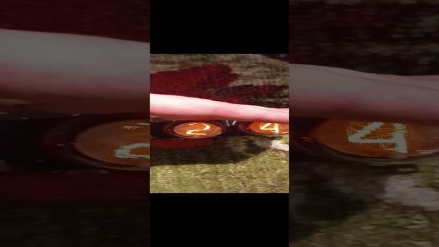Часы на индикаторах ин-1