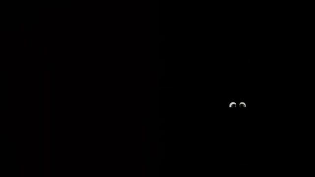 говорящий Том 2 спортник серии