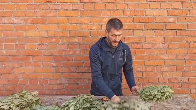 Презентация банных веников 2024г.