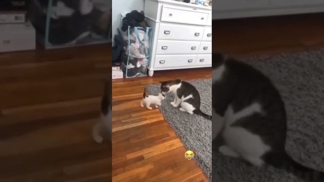 1000068959.mp4