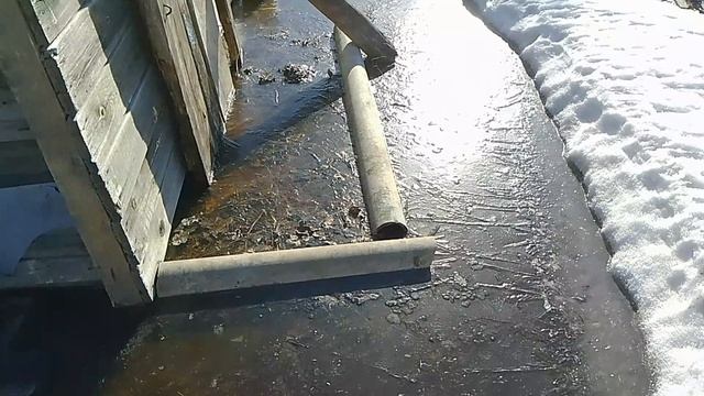 Посещение участка после зимы 11.03.2023г