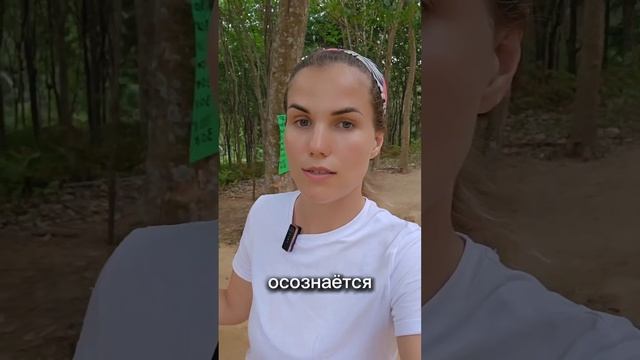 #сновидения #психология #регрессия