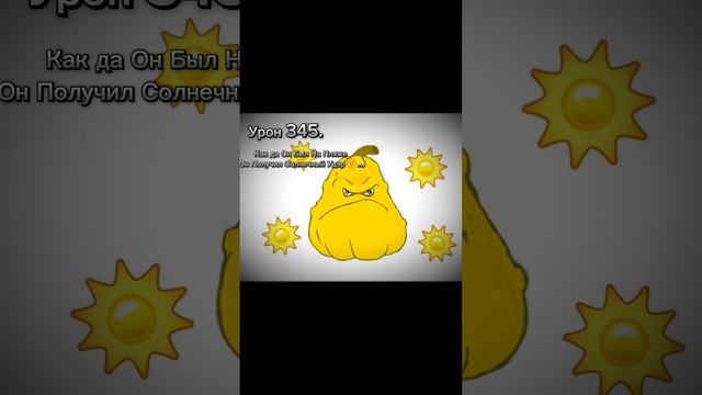 Солнечный Кабачок:)