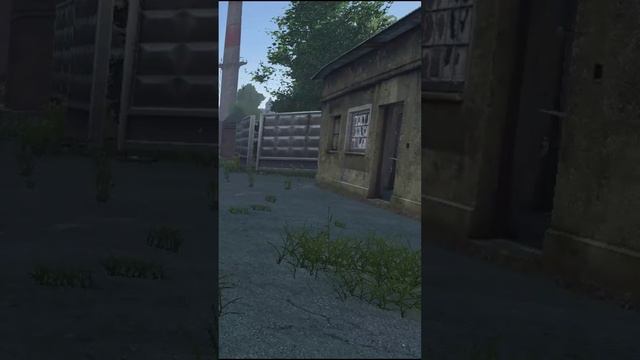 вирубил потом DayZ #dayz #rutube #top #zames