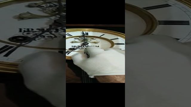 VID-20221022-WA0002.mp4