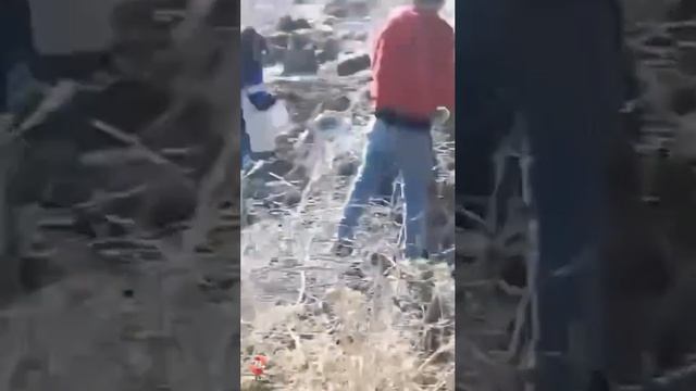 Однако не всё общение израильских военных с местными сирийцами проходит дружелюбно.  Во время се...