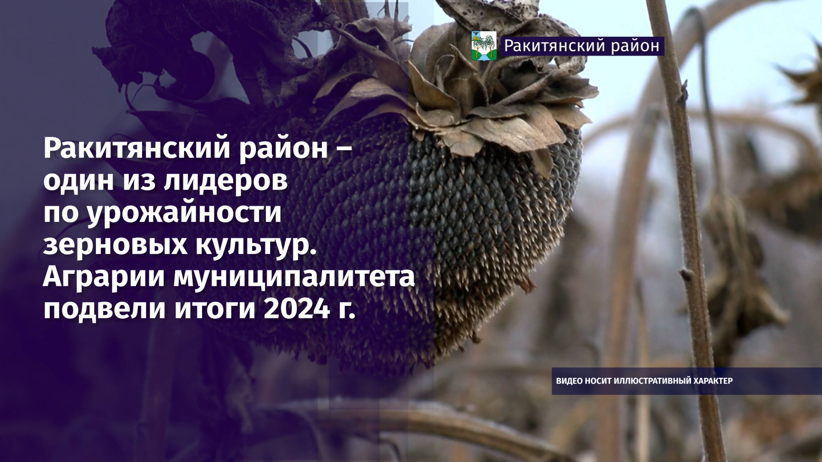 Ракитянский район  – один из лидеров по урожайности зерновых культур