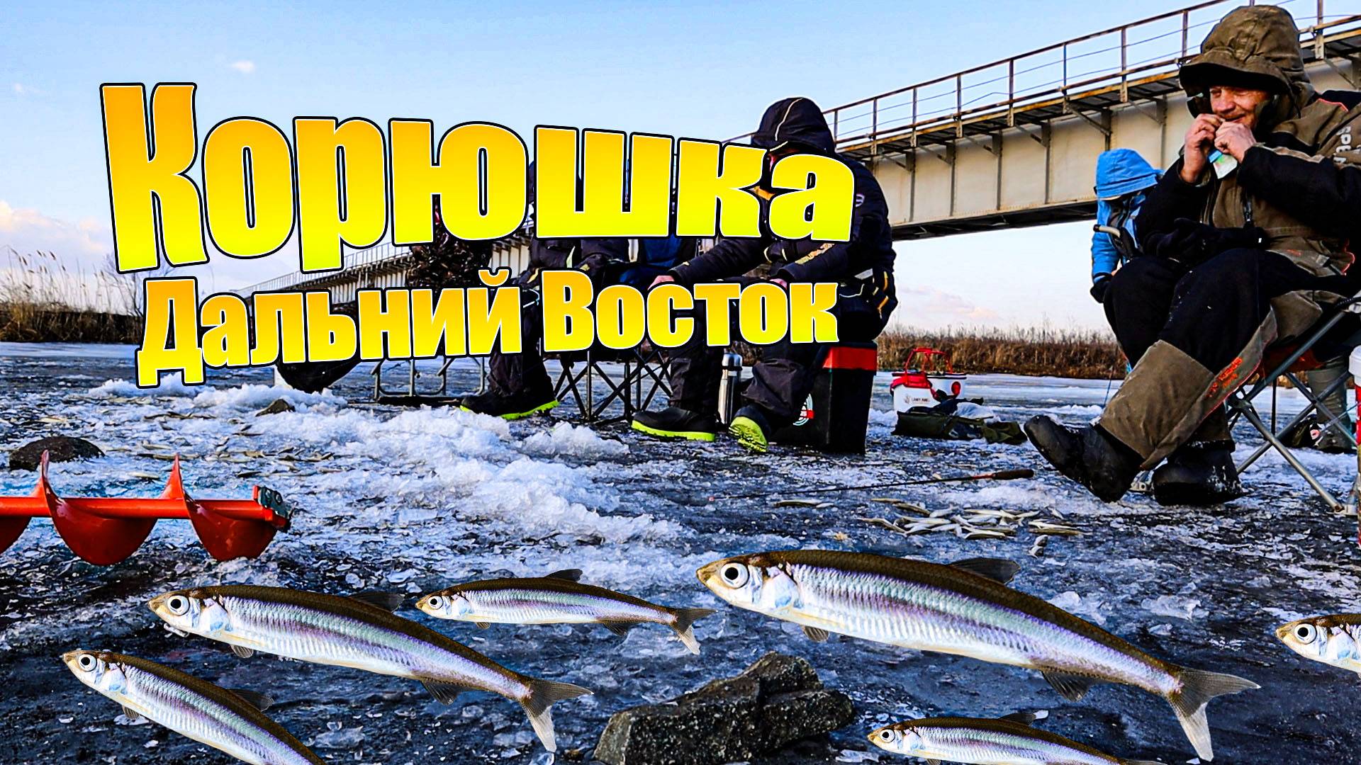 Рыбалка в Посьете 2024