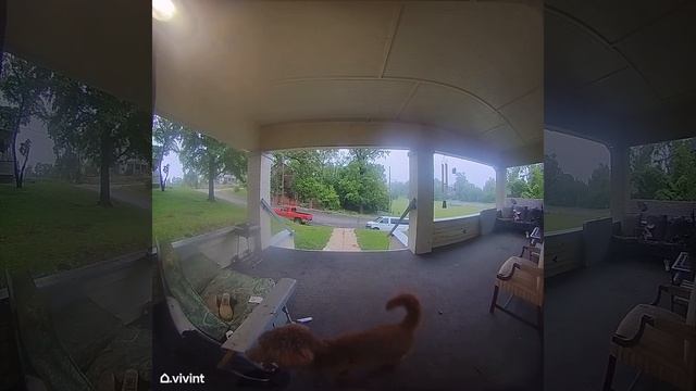 Smile because they're filming you (692)