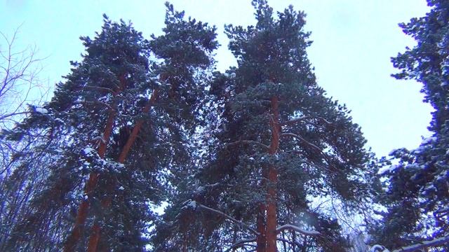 Музыка к документальному фильму