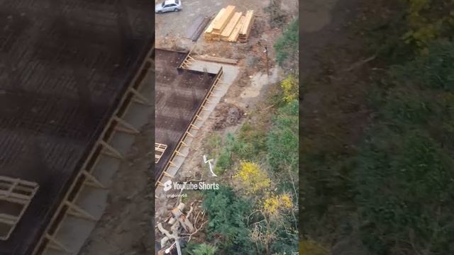 Эвкалипт