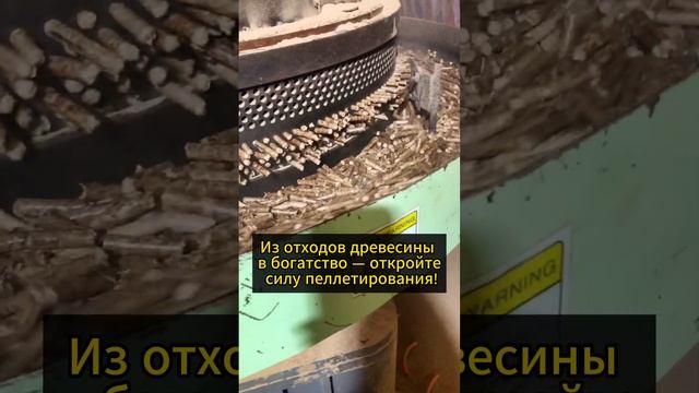 Из отходов древесины в богатство — откройте силу пеллетирования!