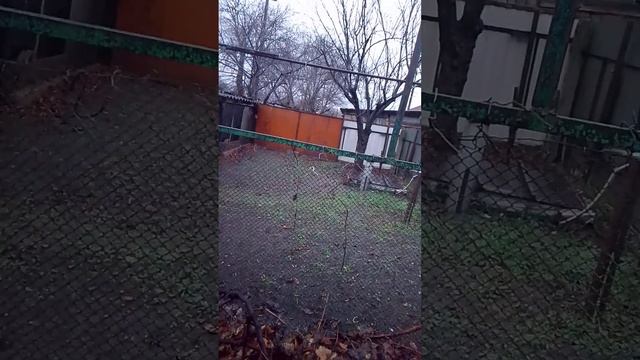 17 декабря 2024 г.