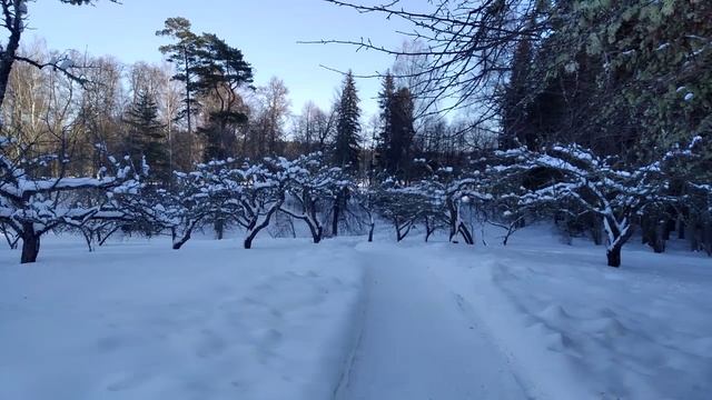 Усадьба А. С. Пушкина в Михайловском зимой.