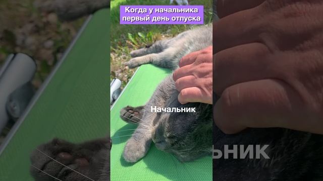 Первый день отпуска🤩