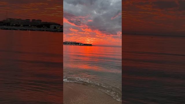 1001309188.mp4