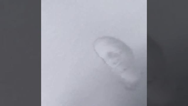 Для зимнего настроения👣🤩🤩
из архива
#НикитаПанфилов