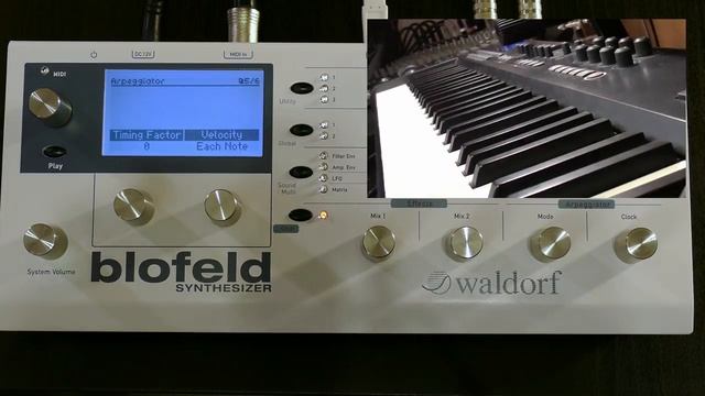 -tutorial- Blofeld Beginners 9 Arpeggiator