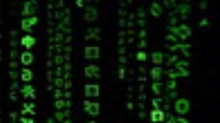 как сделать DoS атаку на сервер через termux