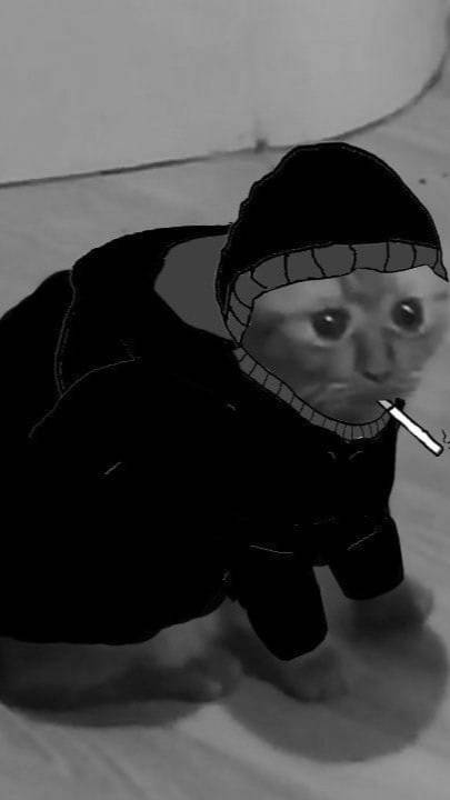 Бу испугался #shorts