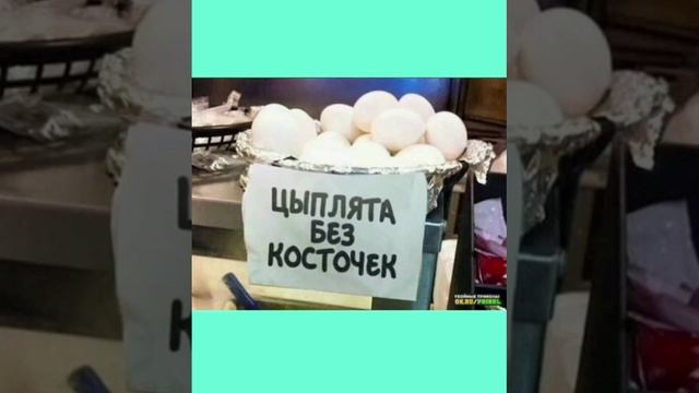 video-edf31079934d3331724dd4626cf8a612-V.mp4