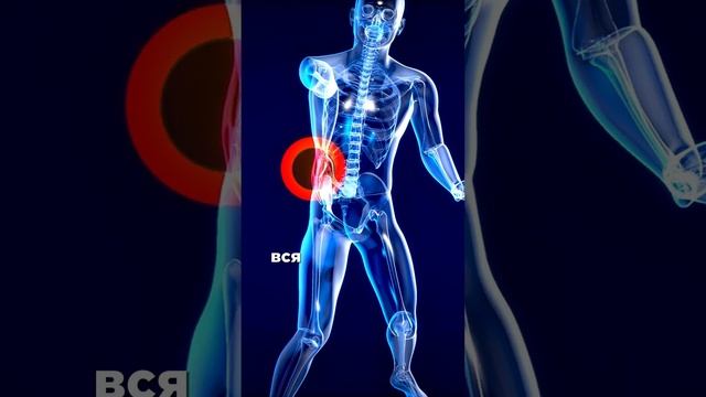 Один из фактов почему могут болеть почки

#врач #медицина #кинезиолог #жизнь #диагностика #состояние