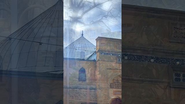 VID_20241220_205627_260.mp4