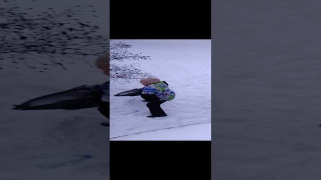 VID_20241220_155220.mp4