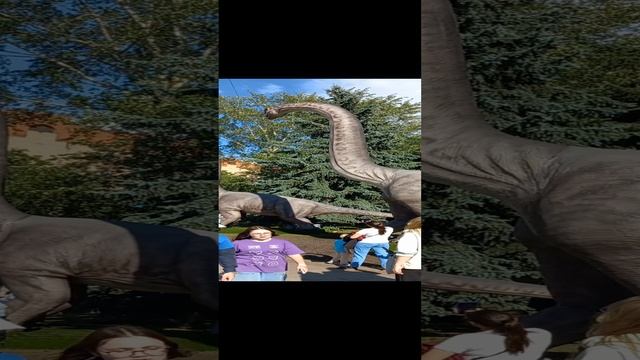 1000373169.mp4