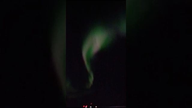 VID-20241219-WA0000.mp4