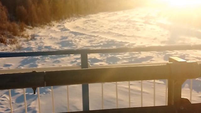 1000046020.mp4 shorts