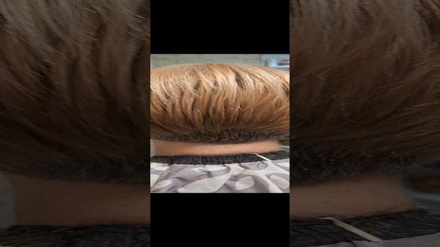 1000077791.mp4